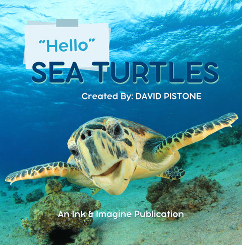 "Hello" Sea Turtles