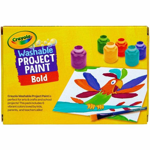 Crayola Washable Project Paint